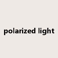 polarized light是什么意思