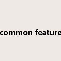 common feature是什么意思
