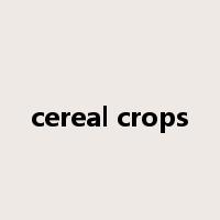 cereal crops是什么意思