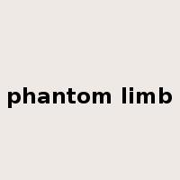 phantom limb是什么意思