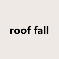 roof fall是什么意思