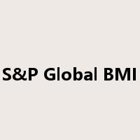 S&P Global BMI是什么意思