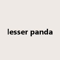lesser panda是什么意思