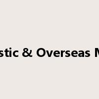 Domestic & Overseas Market是什么意思