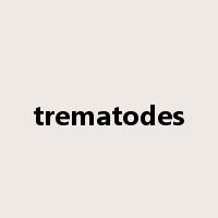 trematodes是什么意思