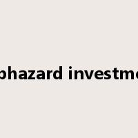 haphazard investment是什么意思