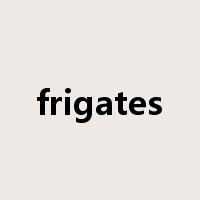 frigates是什么意思