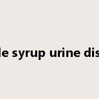 maple syrup urine disease是什么意思
