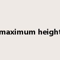 maximum height是什么意思