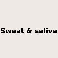 Sweat & saliva是什么意思
