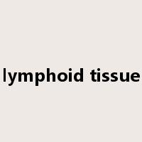 lymphoid tissue是什么意思