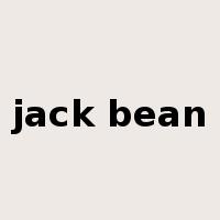 jack bean是什么意思