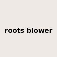 roots blower是什么意思