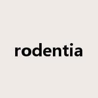 rodentia是什么意思