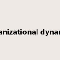 organizational dynamics是什么意思