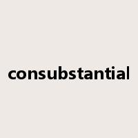 consubstantial是什么意思