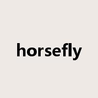 horsefly是什么意思