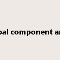 principal component analysis是什么意思