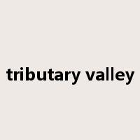 tributary valley是什么意思