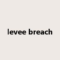 levee breach是什么意思