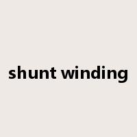 shunt winding是什么意思