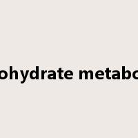 carbohydrate metabolism是什么意思
