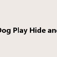 Cat&Dog Play Hide and Seek是什么意思