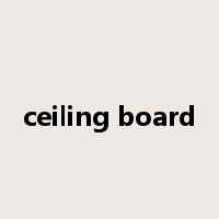ceiling board是什么意思