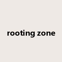rooting zone是什么意思