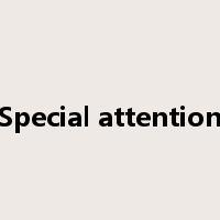 Special attention是什么意思