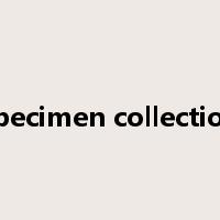 specimen collection是什么意思