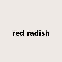 red radish是什么意思