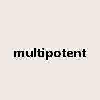 multipotent是什么意思