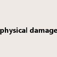 physical damage是什么意思