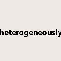 heterogeneously是什么意思