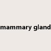mammary gland是什么意思