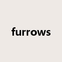 furrows是什么意思