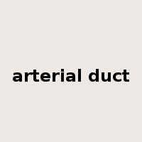 arterial duct是什么意思