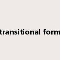 transitional form是什么意思