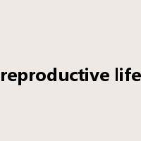 reproductive life是什么意思