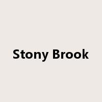 Stony Brook是什么意思