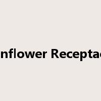 Sunflower Receptacle是什么意思