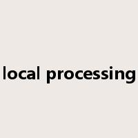 local processing是什么意思