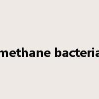 methane bacteria是什么意思