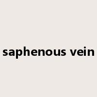 saphenous vein是什么意思