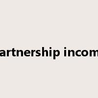 partnership income是什么意思