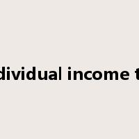 individual income tax是什么意思