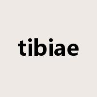 tibiae是什么意思