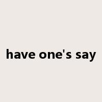 have one's say是什么意思