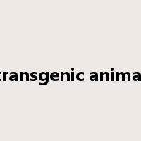 transgenic animal是什么意思